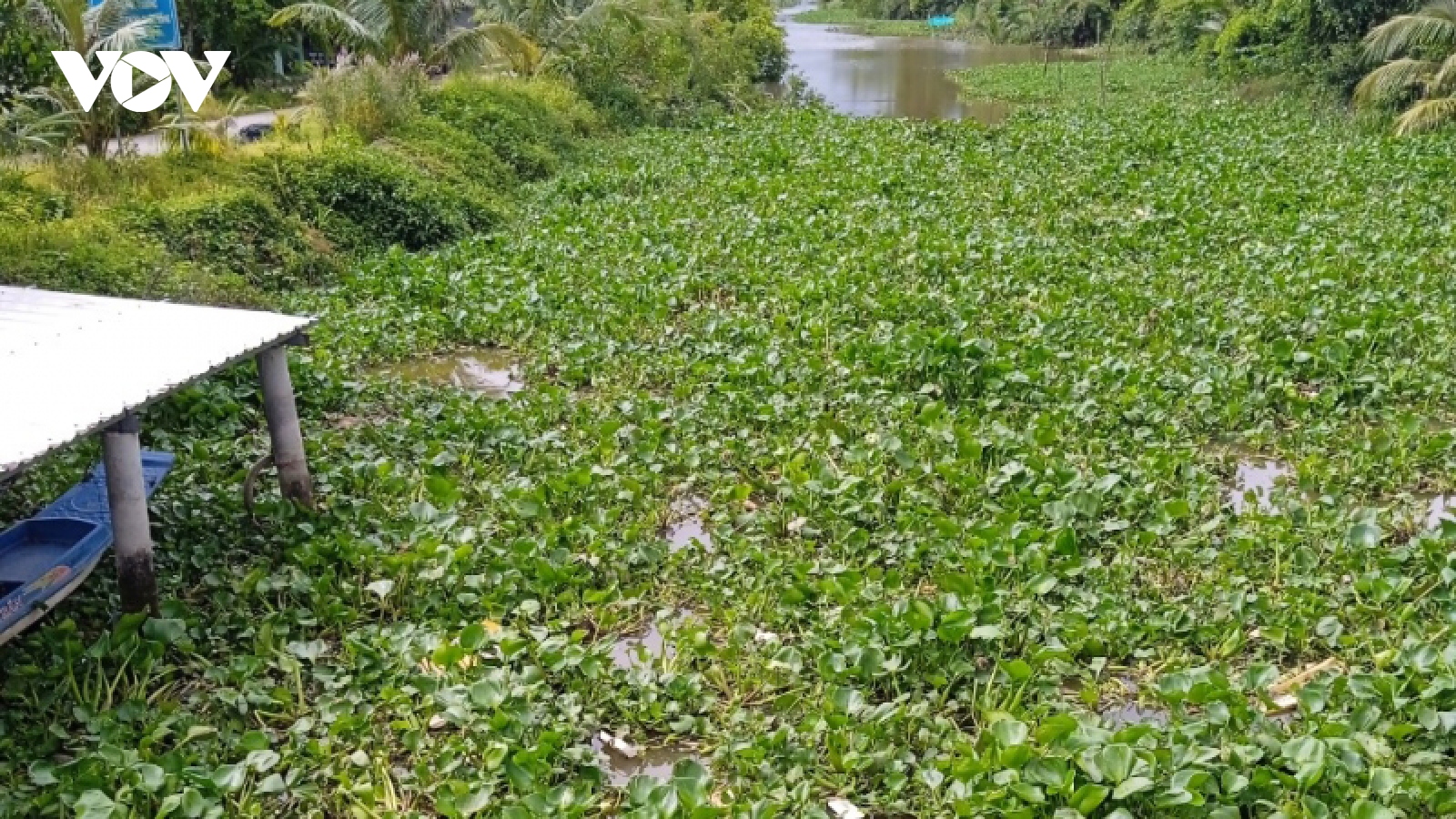 Ra sông bắt ốc, một cháu bé ở Bạc Liêu đuối nước thương tâm